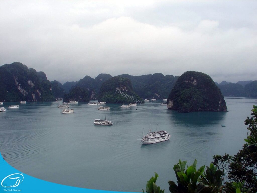 Tour Hạ Long Cát Bà - Hành Trình Kết Hợp Vịnh Biển Và Đảo Hoang Sơ 6 Du lịch Hạ Long - Đặt tour Hạ Long Cát Bà tại Thế Sinh