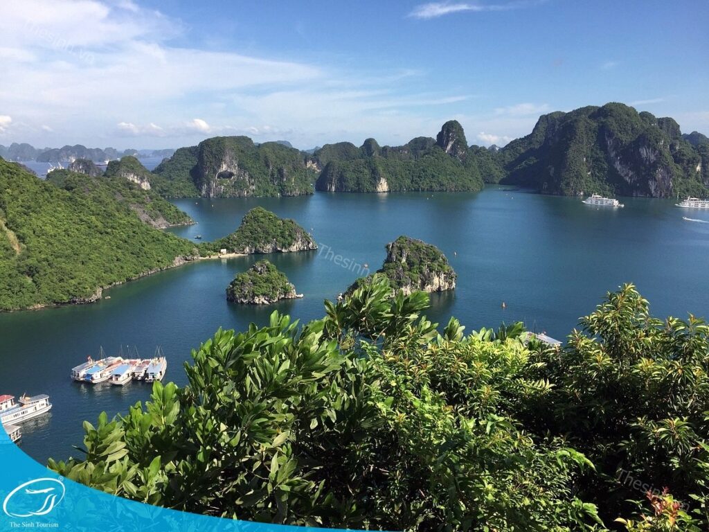 Du lịch Hạ Long 2 ngày 1 đêm giá rẻ - Bí kíp đi chơi thả ga mà không lo "đau ví"! 2 Đặt tour du lịch Hạ Long 2 ngày 1 đêm giá rẻ tại Thế Sinh Tourist