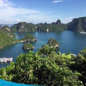 tour du lich ha long du lich the sinh dao titop 025 20240510 134856