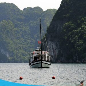 tour du lich ha long du lich the sinh dao titop 026 20240510 134856