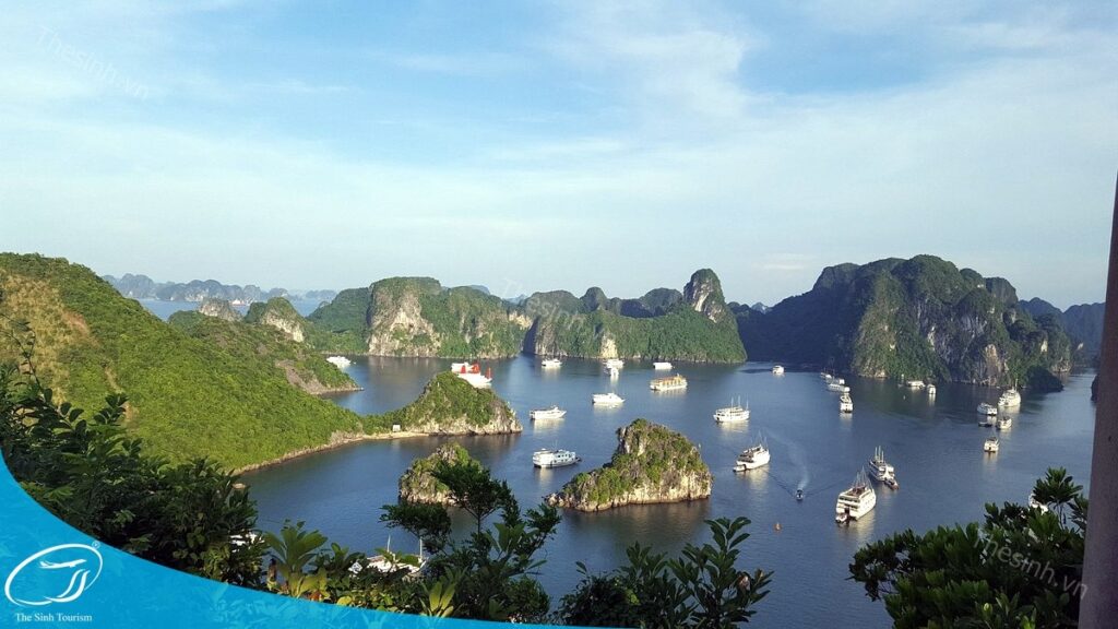 Đặt tour Hà Nội Hạ Long 1 ngày cùng Thế Sinh Tourist