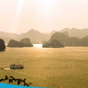 tour du lich ha long du lich the sinh dao titop 028 20240510 134856