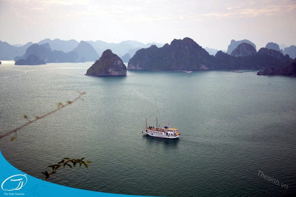 Khám Phá Hạ Long 2 Ngày 1 Đêm - Hành Trình Trọn Vẹn Giữa Vịnh Biển Kỳ Vĩ và Phố Đêm Sôi Động 13 Đi Hạ Long 2 ngày 1 đêm cùng Thế Sinh Tourist