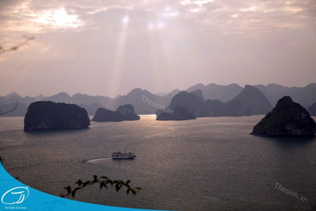 Du lịch Hạ Long trong ngày – Gợi ý lịch trình tự túc & chọn tour phù hợp ngân sách 27 Đặt tour du lịch Hạ Long trong ngày cùng Thế Sinh Tourist