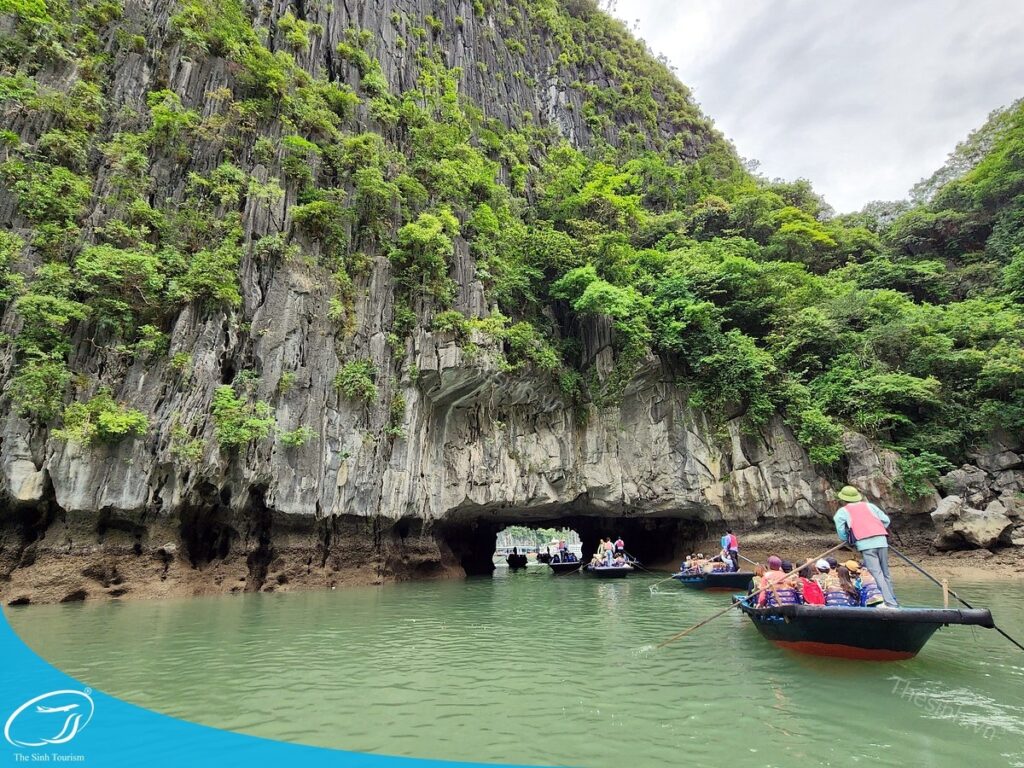 Đi Hạ Long 2 ngày 1 đêm cùng gia đình - Trọn vẹn mà không mệt! 19 tour du lich ha long du lich the sinh hang luon 002 20240510 134733