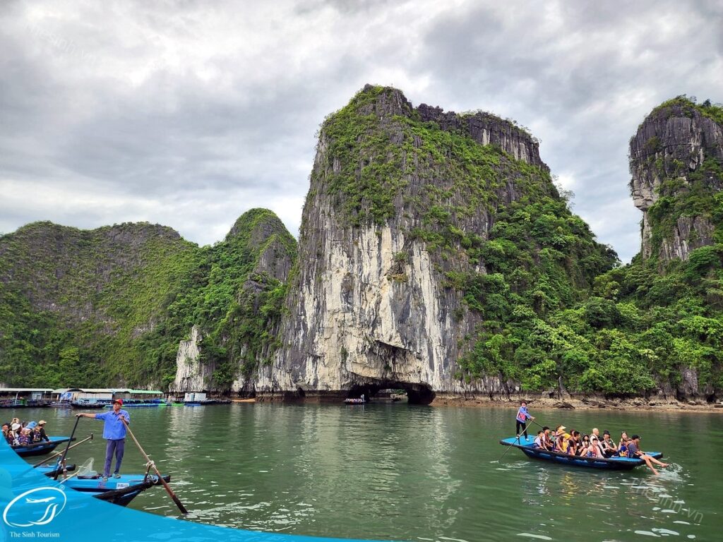 tour du lich ha long du lich the sinh hang luon 004 20240510 134733