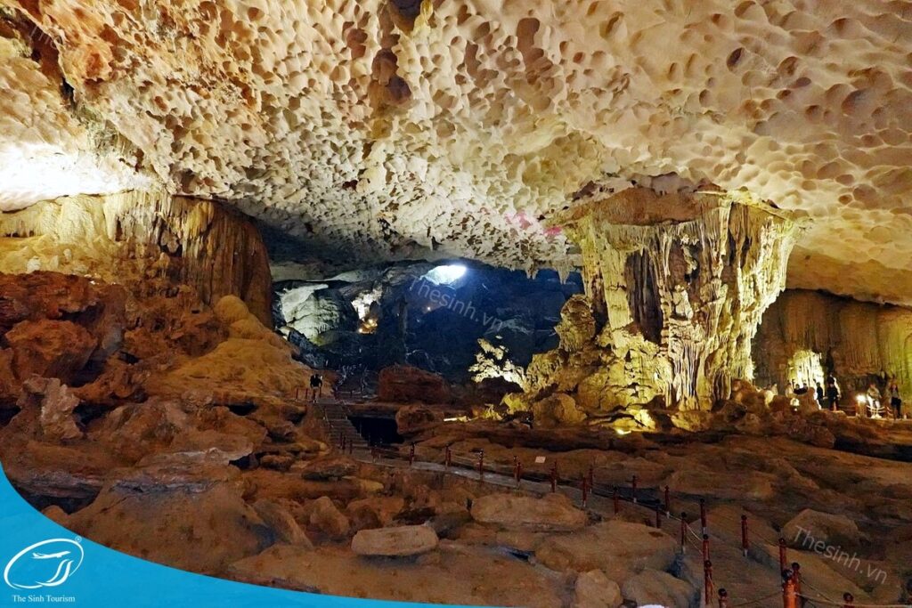 Vì sao nên chọn tour Hà Nội Hạ Long 1 ngày? Góc nhìn từ người từng trải nghiệm 10 tour du lich ha long du lich the sinh hang sung sot 002 20240510 134757