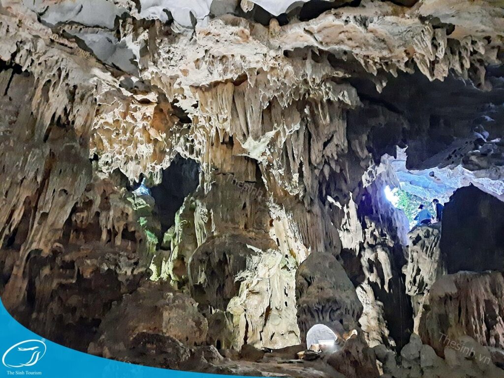 Đi Hạ Long 1 Ngày – Nên Chọn Du Thuyền 3 Sao, 4 Sao Hay 5 Sao? 20 tour du lich ha long du lich the sinh hang sung sot 004 20240510 134757