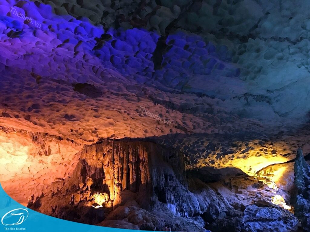 Khám Phá Hạ Long 2 Ngày 1 Đêm - Hành Trình Trọn Vẹn Giữa Vịnh Biển Kỳ Vĩ và Phố Đêm Sôi Động 3 tour du lich ha long du lich the sinh hang sung sot 010 20240510 134757