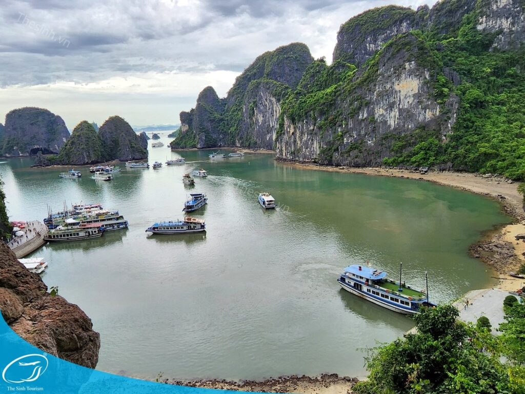 Tour Hà Nội Hạ Long 3 Ngày 2 Đêm: Xuất Phát Dễ Dàng, Tận Hưởng Trọn Vẹn 12 Đặt tour du lịch Hạ Long 2 ngày 1 đêm cùng Thế Sinh Tourist