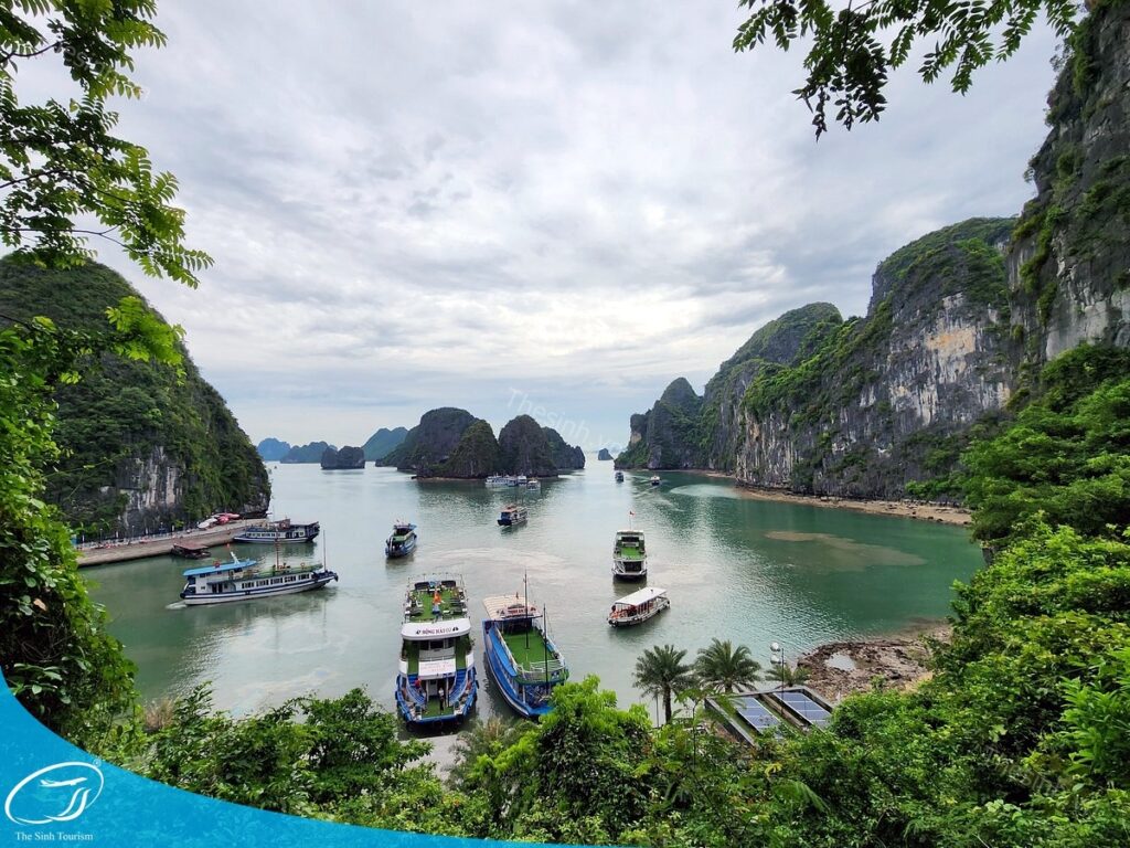 Du lịch Hạ Long 2 ngày 1 đêm giá rẻ - Bí kíp đi chơi thả ga mà không lo "đau ví"! 11 Du lịch Hạ Long cùng Thế Sinh Tourist