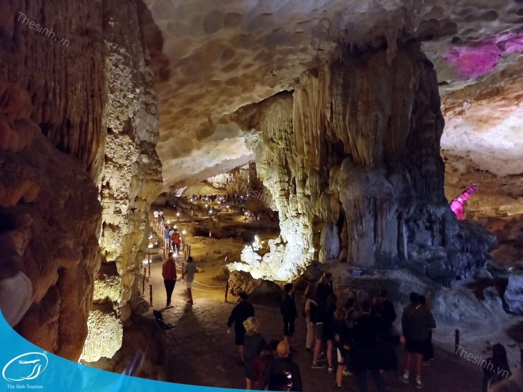 Đi Hạ Long 2 ngày 1 đêm cùng gia đình - Trọn vẹn mà không mệt! 6 tour du lich ha long du lich the sinh hang sung sot 015 20240510 134757