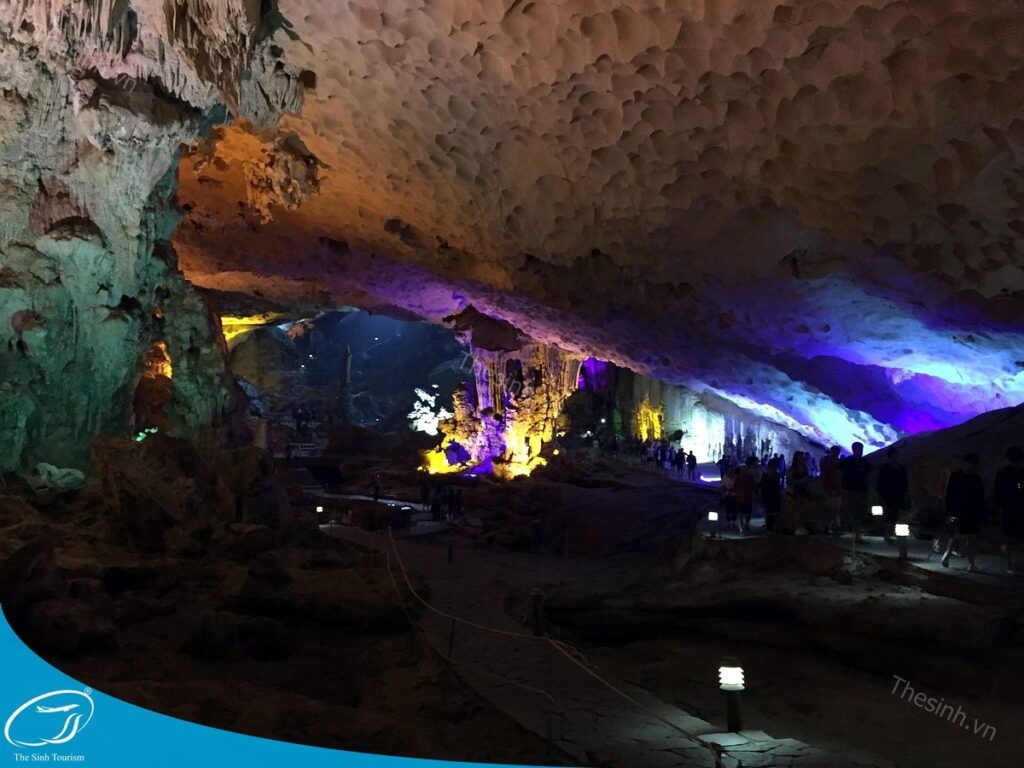 Giải đáp từ A đến Z về tour Hạ Long 2 ngày 1 đêm: Bạn cần biết gì trước khi đặt tour ? 10 tour du lich ha long du lich the sinh hang sung sot 016 20240510 134757