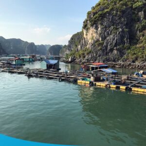 tour du lich ha long du lich the sinh lang chai 003 20240510 134829