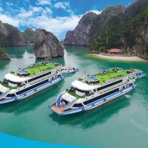 Tour Hạ Long 1 Ngày - Du Thuyền 5 Sao 8 Tiếng Thăm Vịnh
