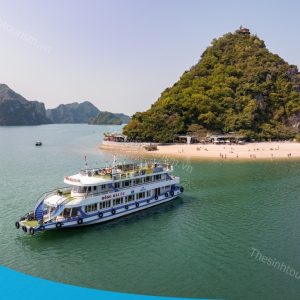 tour du lich ha long du thuyen 4 sao 1 ngay 241