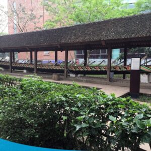tour du lich ha noi du lich the sinh tourist the sinh tourism bao tang dan toc hoc 006 20240510 135055