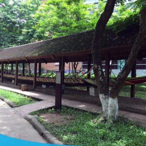 Tour Hà Nội City - Ninh Bình - Hạ Long 3N2Đ 10 tour du lich ha noi du lich the sinh tourist the sinh tourism bao tang dan toc hoc 033 20240510 135056