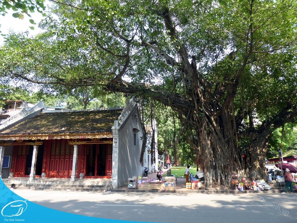 tour du lich ha noi du lich the sinh tourist the sinh tourism ho guom ho hoan kiem 005 20240510 135408
