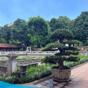 tour du lich ha noi du lich the sinh tourist the sinh tourism van mieu quoc tu giam 028 20240510 140026