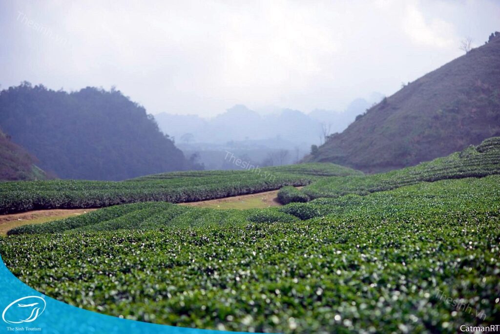 Đặt tour Tây Bắc 5n4đ tại thesinh.vn