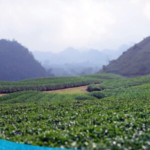 Đặt tour Tây Bắc 5n4đ tại thesinh.vn