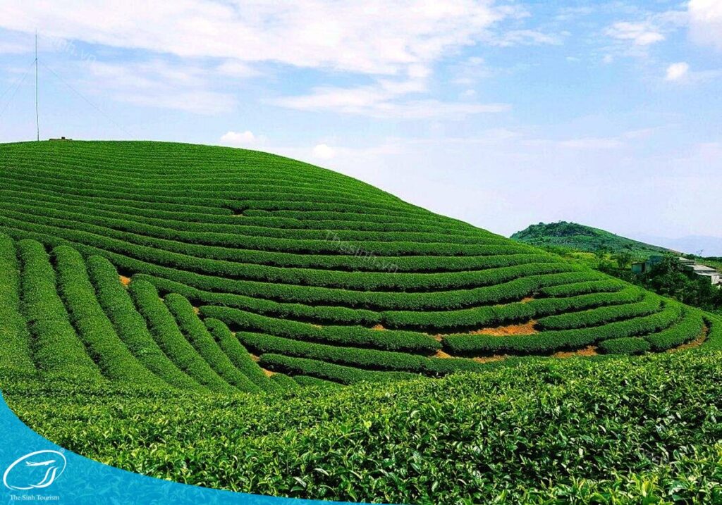 Du lịch Mộc Châu tháng mấy đẹp ?