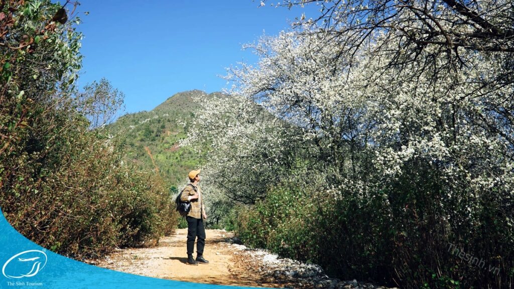Đặt tour Tây Bắc 4n3đ cùng SinhCafe Travel