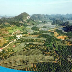 tour du lich moc chau the sinh tourism the sinh tourist 025 20240520 174432