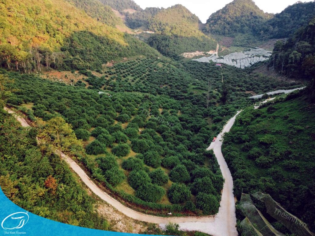 Tour Sơn La Mộc Châu