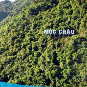 tour du lich moc chau the sinh tourism the sinh tourist 032 20240520 174433