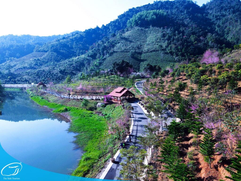 Đặt tour Mai Châu Mộc Châu 2 ngày 1 đêm tại thesinh.vn