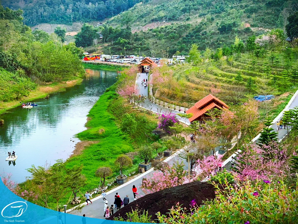 Kinh nghiệm du lịch Mộc Châu từ A–Z: Lịch trình, điểm đến đẹp nhất 29 Tour du lịch Mộc Châu