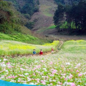Đi du lịch Mộc Châu cùng Thế Sinh Tourist