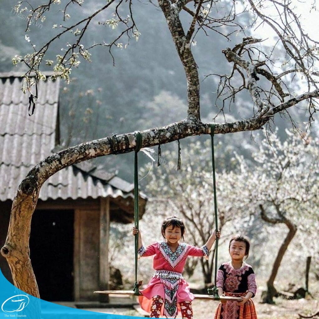 Kinh nghiệm du lịch Mộc Châu từ A–Z: Lịch trình, điểm đến đẹp nhất 22 tour du lich moc chau the sinh tourism the sinh tourist 078 20240520 174438