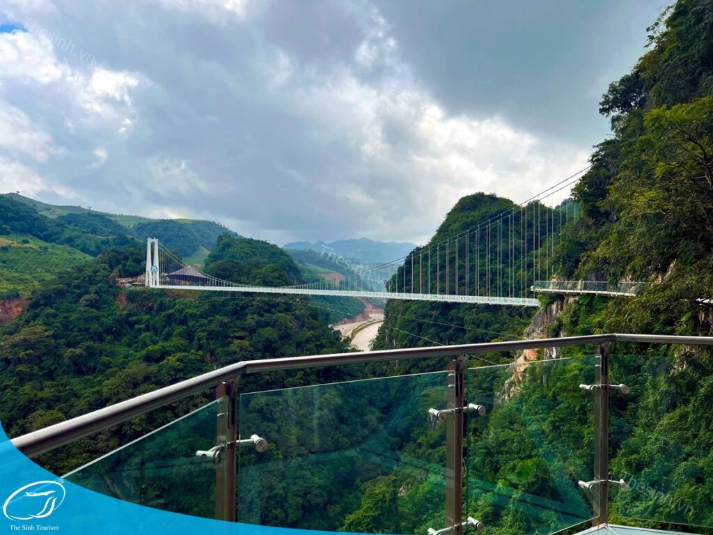 Tour Mộc Châu Tà Xùa 2 ngày 1 đêm: Săn mây và ngắm hoa cực đẹp 14 tour du lich moc chau the sinh tourism the sinh tourist 082 20240520 174438