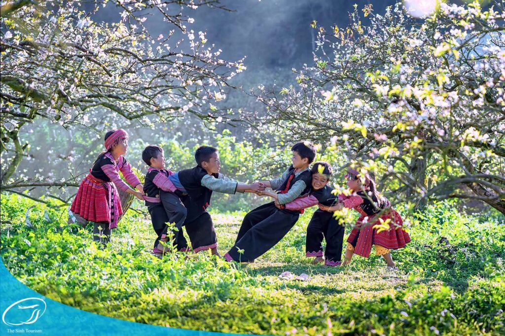 Du lịch Mộc Châu cùng Thế Sinh Tourist
