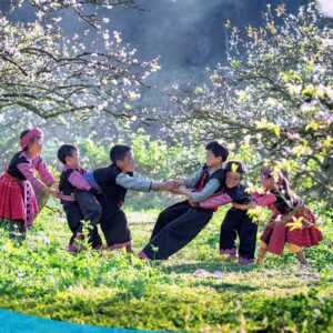 tour du lich moc chau the sinh tourism the sinh tourist 083 20240520 174438