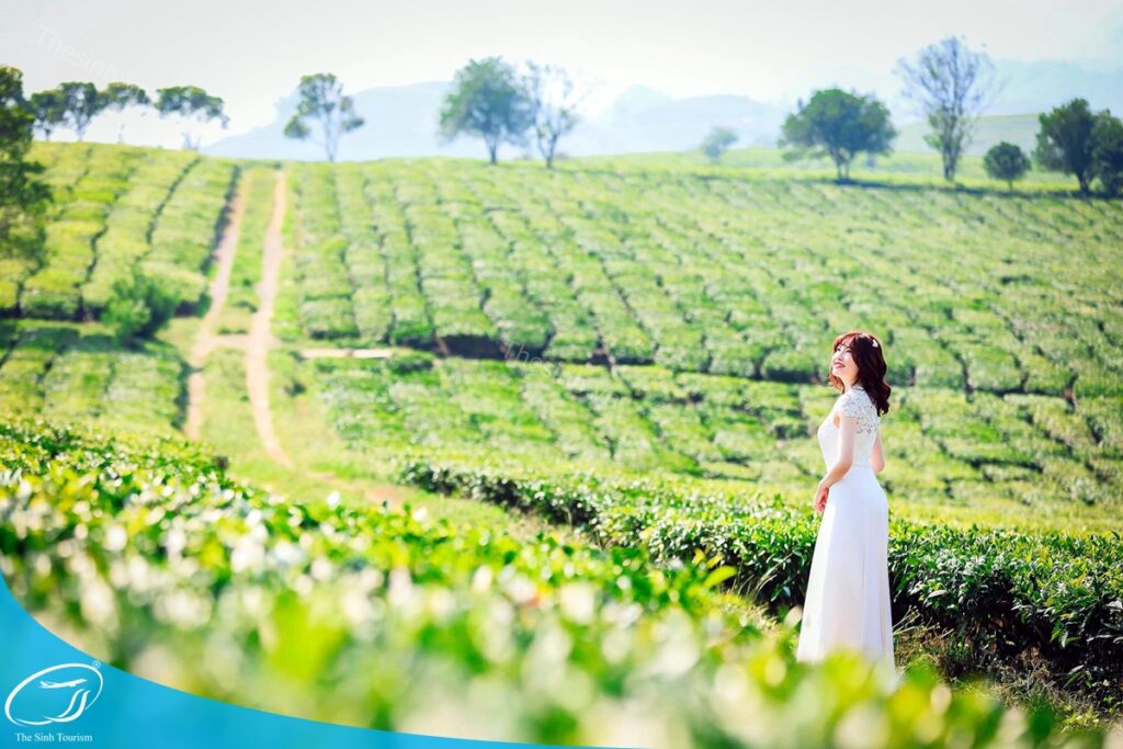 Du lịch Mộc Châu cùng Thế Sinh Tourist