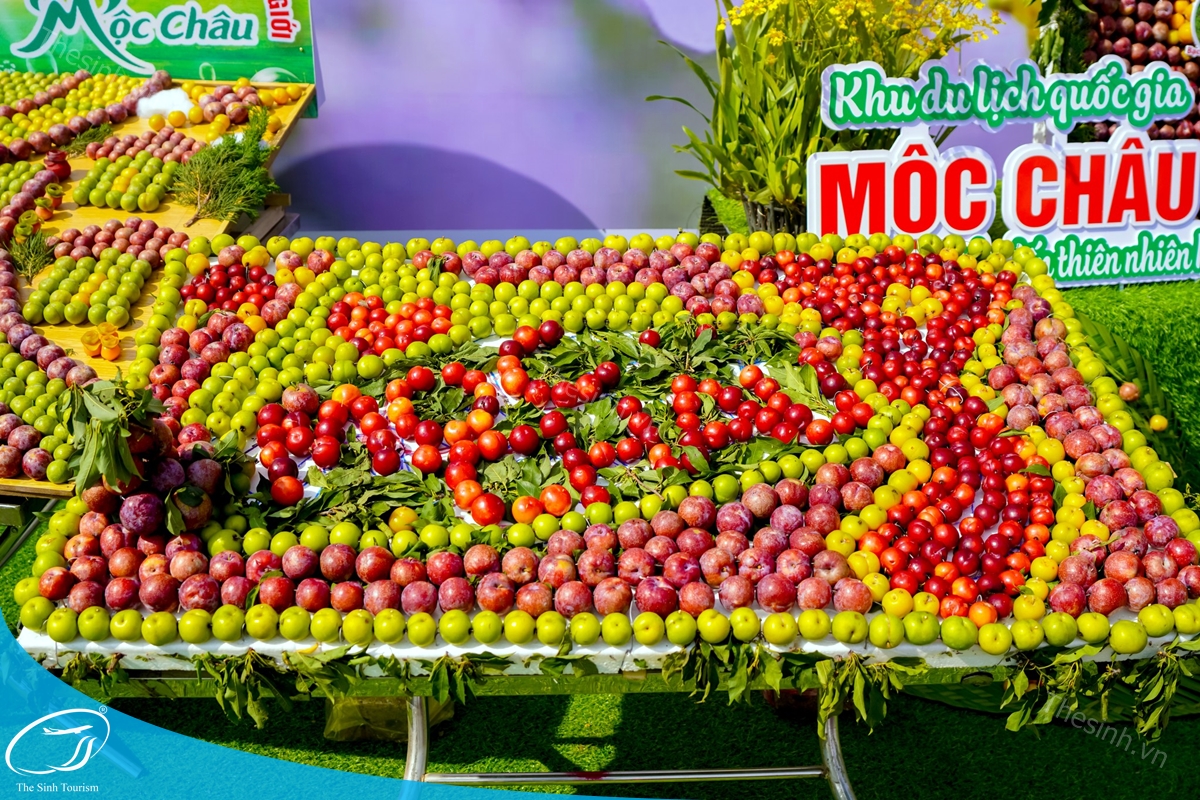 Kinh nghiệm du lịch Mộc Châu từ A–Z: Lịch trình, điểm đến đẹp nhất 24 Tour du lịch Mộc Châu