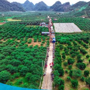 tour du lich moc chau the sinh tourism the sinh tourist 099 20240520 174440