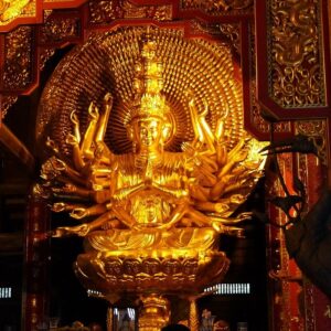 tour du lich ninh binh du lich the sinh tourist the sinh tourism chua bai dinh 016 20240510 141729