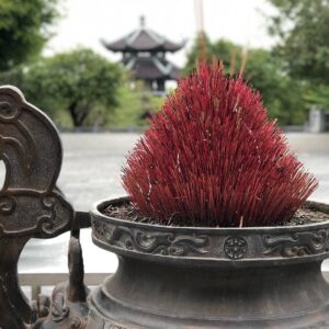 tour du lich ninh binh du lich the sinh tourist the sinh tourism chua bai dinh 034 20240510 141730