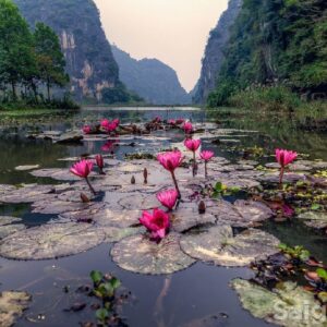 tour du lich ninh binh du lich the sinh tourist the sinh tourism hoa lu tam coc 001 20240510 141817