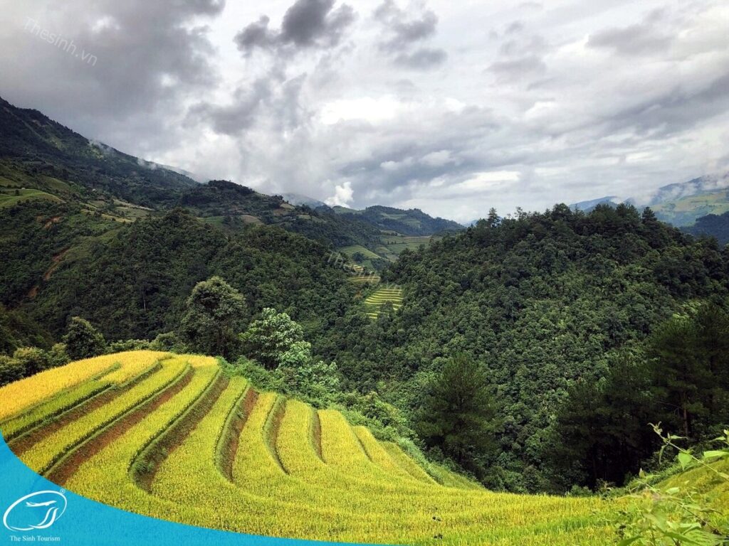 Du lịch Sapa từ Đà Nẵng - Đặt tour tại Thế Sinh Tourist