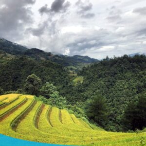 tour du lich sapa tour du lich sa pa du lich the sinh tourist the sinh tourism sinhcafe travel 032 20240510 142056