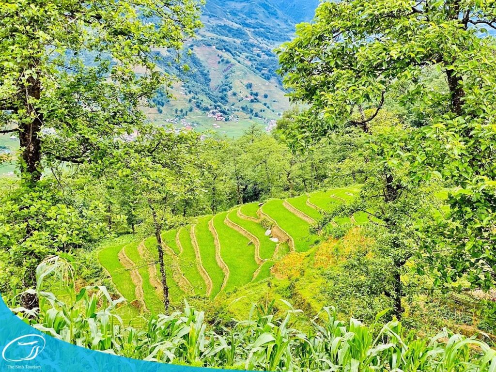 Đi tour du lịch Sapa 4 ngày 3 đêm cùng Thế Sinh Tourist