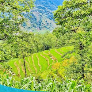 tour du lich sapa tour du lich sa pa du lich the sinh tourist the sinh tourism sinhcafe travel 058 20240510 142057