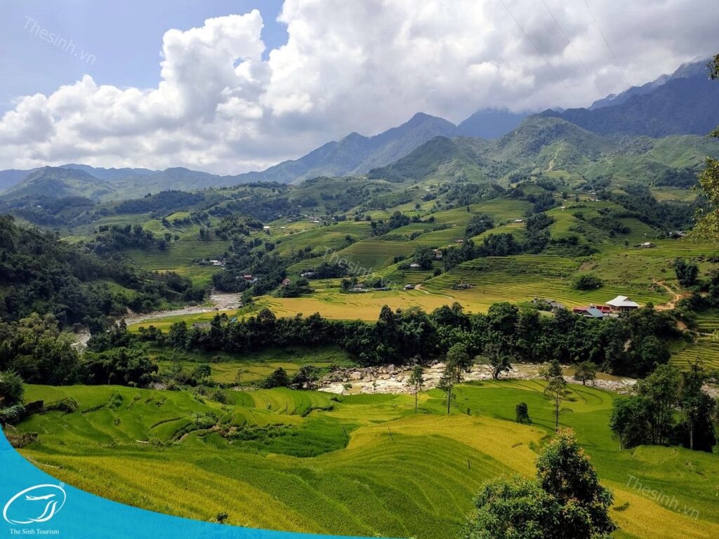 Đặt Tour Du Lịch Sapa Giá Rẻ: Combo Và Hướng Dẫn Chi Tiết 6 Đặt tour Sapa 3 ngày 2 đêm tại Thế Sinh Tourist