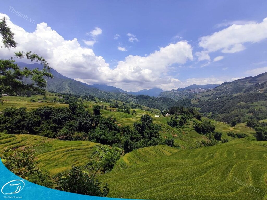 Đi Sapa 2 ngày 2 đêm cùng Thế Sinh Tourist
